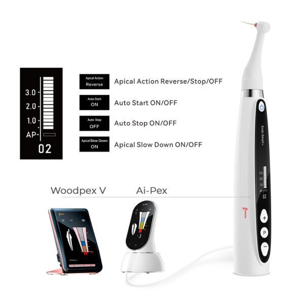 Motor de endodoncia + Contra ángulo ENDO SMART PLUS - Imagen 3
