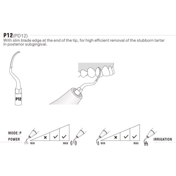 Punta ultrasonidos Woodpecker P12 compatible EMS | Perio - Imagen 3