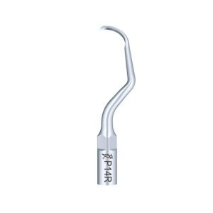 Punta Woodpecker P14R para EMS | Perio