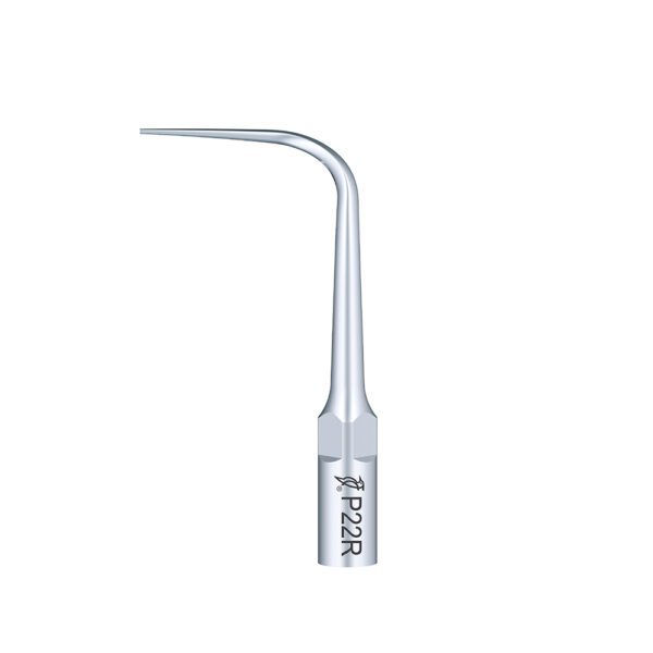 Punta Woodpecker P22R para EMS | Perio