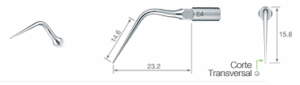 Puntas endodoncia