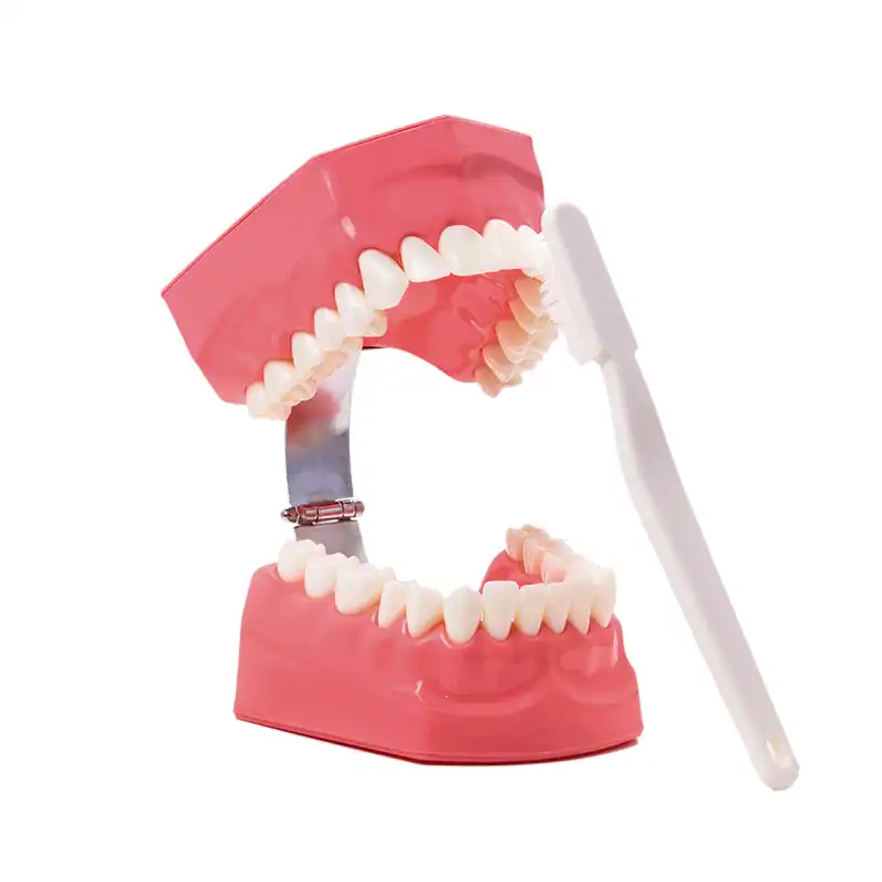 Macromodelo Body On Bader