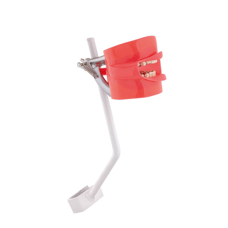 Fantoma Bader de Práctica con Anclaje a Sillón