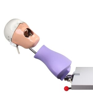 Fantoma de Práctica con Anclaje a Mesa Bader