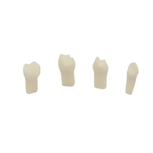 Set de Dientes para Pulpotomia para AK6 Bader