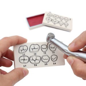 Placa de preparación dental Bader