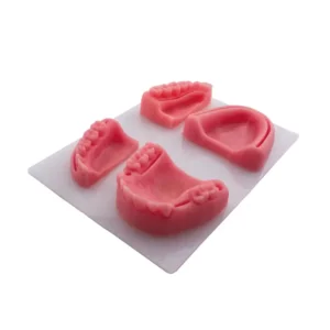 Modelo para Práctica de Sutura Siliconado Bader