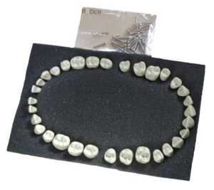 Dientes Reposición Tipo AG3 Bader