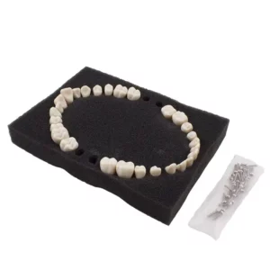 Dientes reposición tipo Ana4 Bader