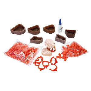 ARTICULADOR DE PLASTICO - DESECHABLE - KIT COMPLETO